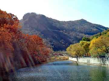 管家婆黑白马报图库，翼神论坛